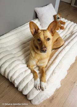 Preview: Kunstpelz Ottawa Natur von Swafing